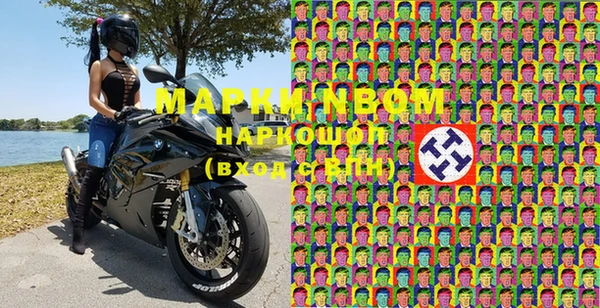 хмурый Алзамай