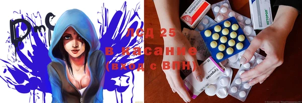 хмурый Алзамай