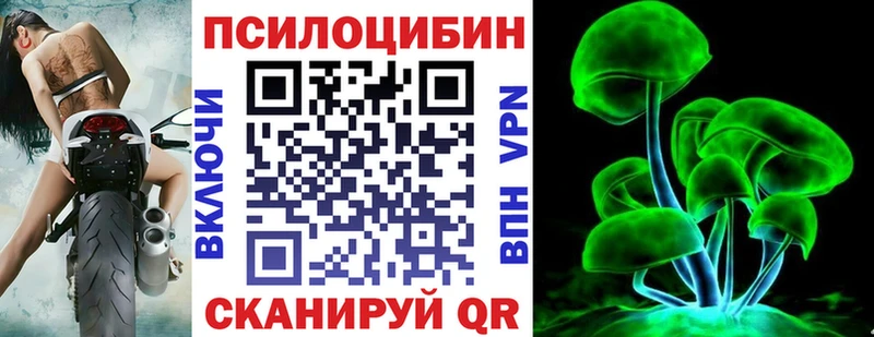 цена наркотик  Карасук  Галлюциногенные грибы Psilocybine cubensis 