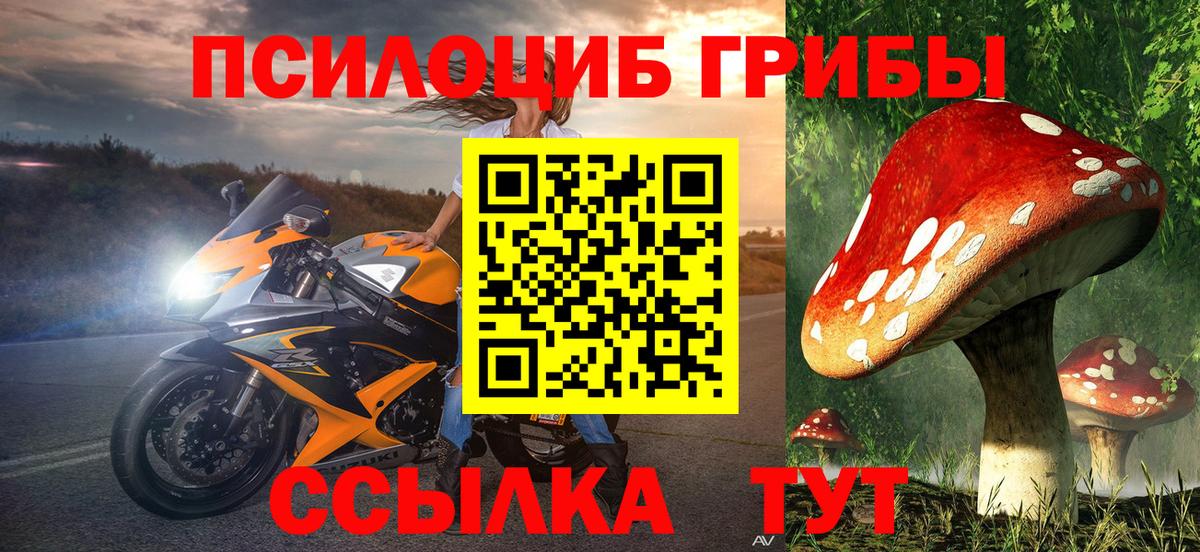 купить наркотик  Псилоцибиновые грибы мухоморы  Вход с VPN  Карасук  Галлюциногенные грибы мухоморы 
