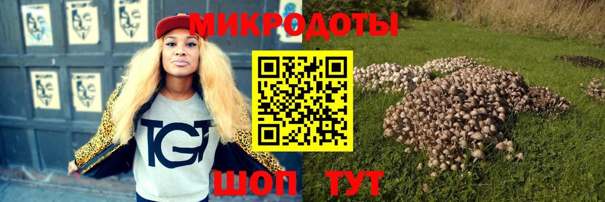 Псилоцибиновые грибы Magic Shrooms Карасук